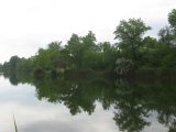 IMG_3096.jpg