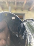 IMG_2237.jpeg
