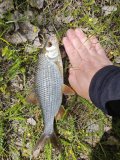 IMG_20250509_130629.jpg