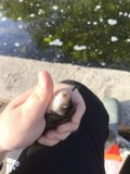 IMG_20250507_075830.jpg