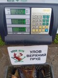 38_img_20250509_150001.jpg