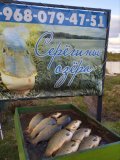 IMG_20250509_190900_788.jpg