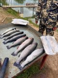 IMG_1935.jpeg