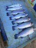 IMG_1944.jpeg