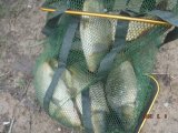 IMG-20250509-WA0139.jpg