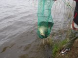 IMG-20250509-WA0136.jpg