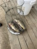 IMG_9439.jpeg