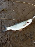 IMG_20250509_195049.jpg