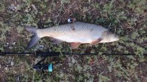IMG_20250509_190923.jpg