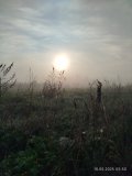 IMG_20250510_055033.jpg