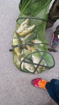 IMG-20250509-WA0026.jpg