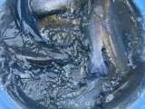 IMG_3725.jpeg