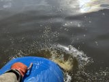 IMG_3732.jpeg