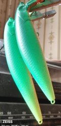 IMG_20250427_094216.jpg