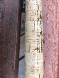 IMG_0564.jpeg
