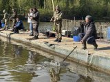 IMG_3739.jpeg