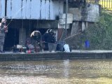 IMG_3747.jpeg