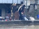 IMG_3758.jpeg