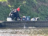 IMG_3765.jpeg