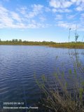 IMG_20250509_081251_624.jpg