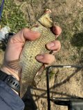 IMG_6812.jpeg