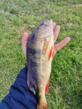 IMG_20250510_115343.jpg