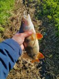 IMG_20250510_083947.jpg