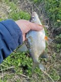 IMG_20250510_102046.jpg