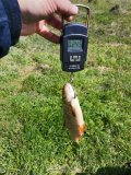IMG_20250510_115428.jpg