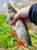 IMG_20250510_120724.jpg