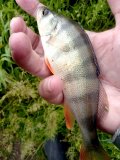 20250509_145303.jpg