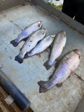 IMG_2011.jpeg