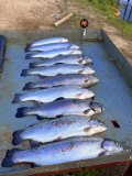 IMG_2029.jpeg