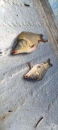 IMG_20250510_192837_253.jpg