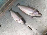 IMG_20250510_192837_415.jpg