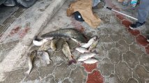 IMG_20250510_115440.jpg