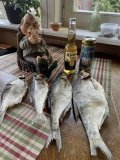 IMG_7662.jpeg