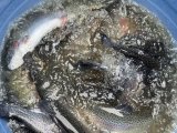IMG_3872.jpeg