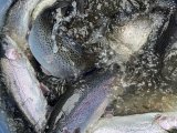 IMG_3874.jpeg
