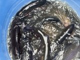 IMG_3876.jpeg