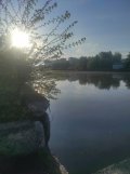 IMG_20250510_060438.jpg