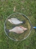 IMG_20250510_095304.jpg