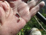 IMG_5329.JPG