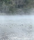 IMG_20250511_131412.jpg