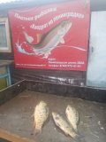 IMG-20250511-WA0010.jpg