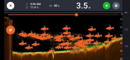 Screenshot_20250511_071301_Fish Deeper.jpg