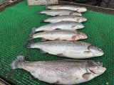 IMG_3951.jpeg