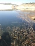 IMG_0587.jpeg