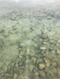 IMG_0593.jpeg