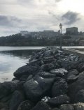 IMG_0595.jpeg